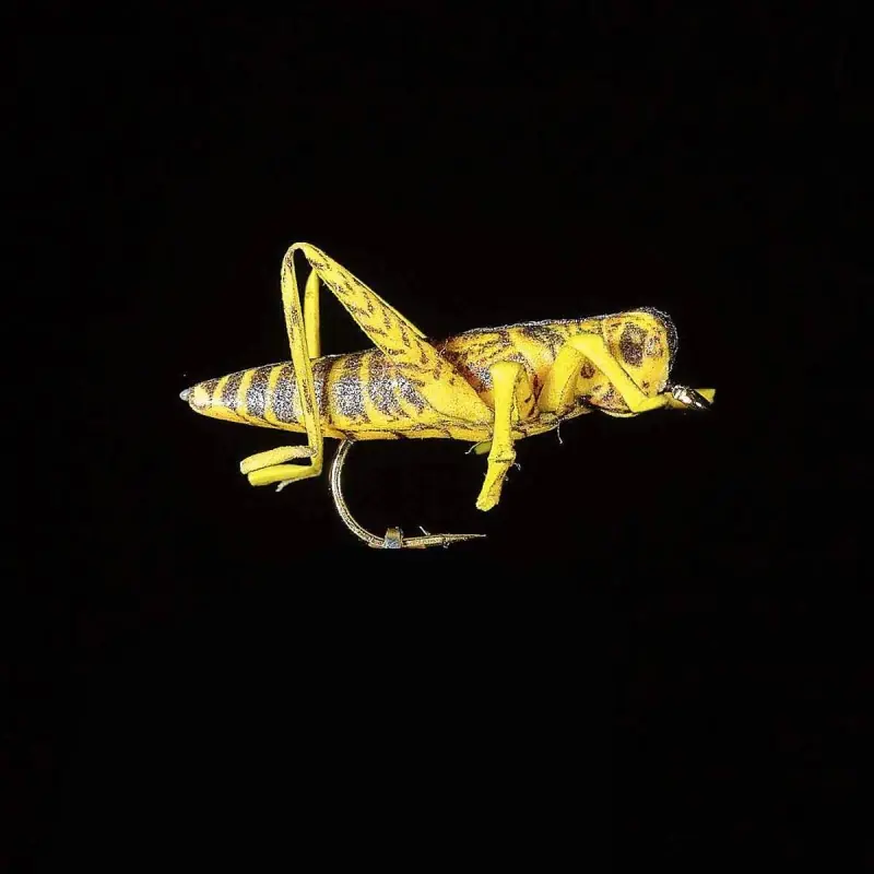 Top Vente Mouche Sauterelle 22 JMC