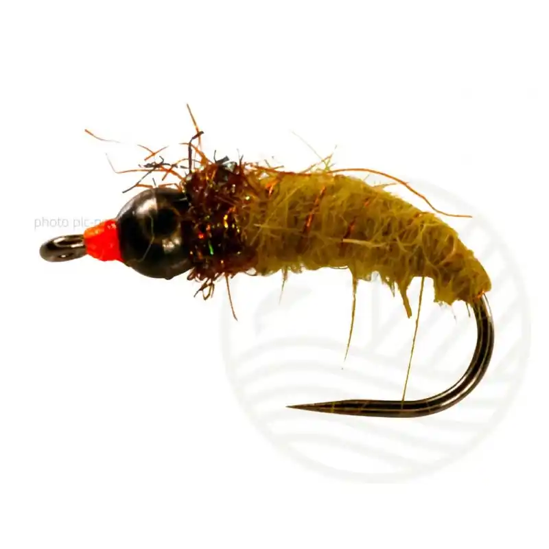 Mouche Caddis Nymph Olive/Blk Tungstene BL CATCHY FLIES Promotion