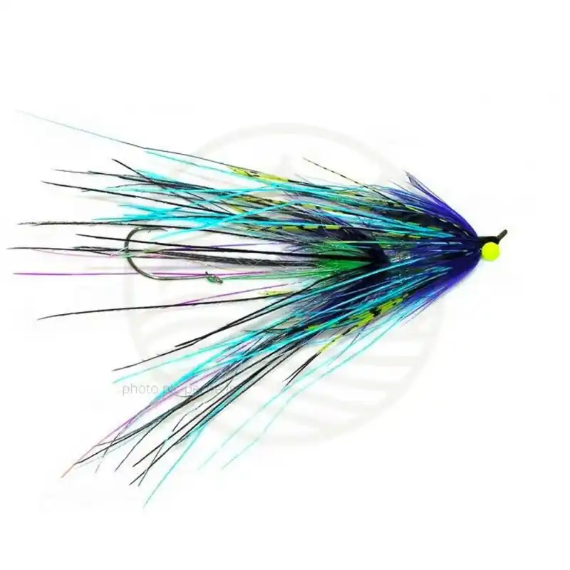 Commander Vite Mouche Steelhead Stu‘s Ostrich intruder Blue/Purple