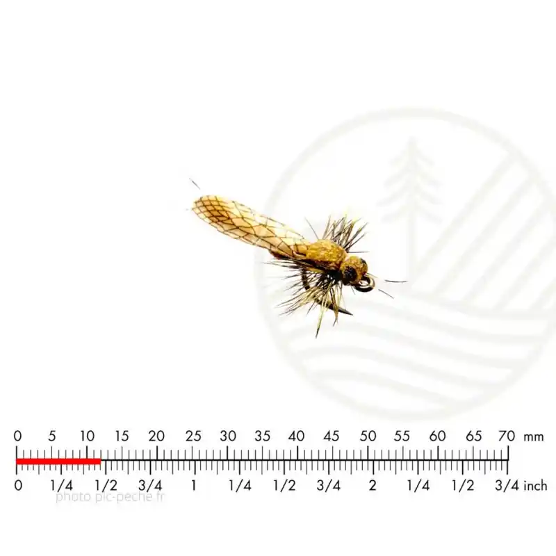 Réduction Mouche J SON Stonefly Adult 5 Yellow H20