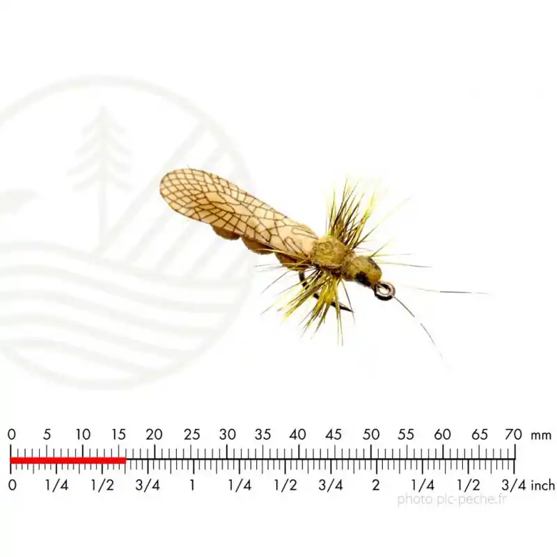 Réduction Mouche J SON Stonefly Adult 4 Yellow H18