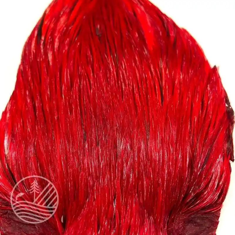 Cou de coq indien teint DEVAUX Acheter Direct