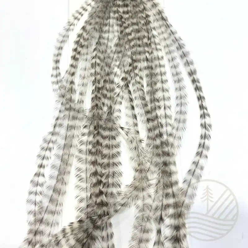 Plumes WHITING FARMS Microbarb Silver G2 Prix Choc