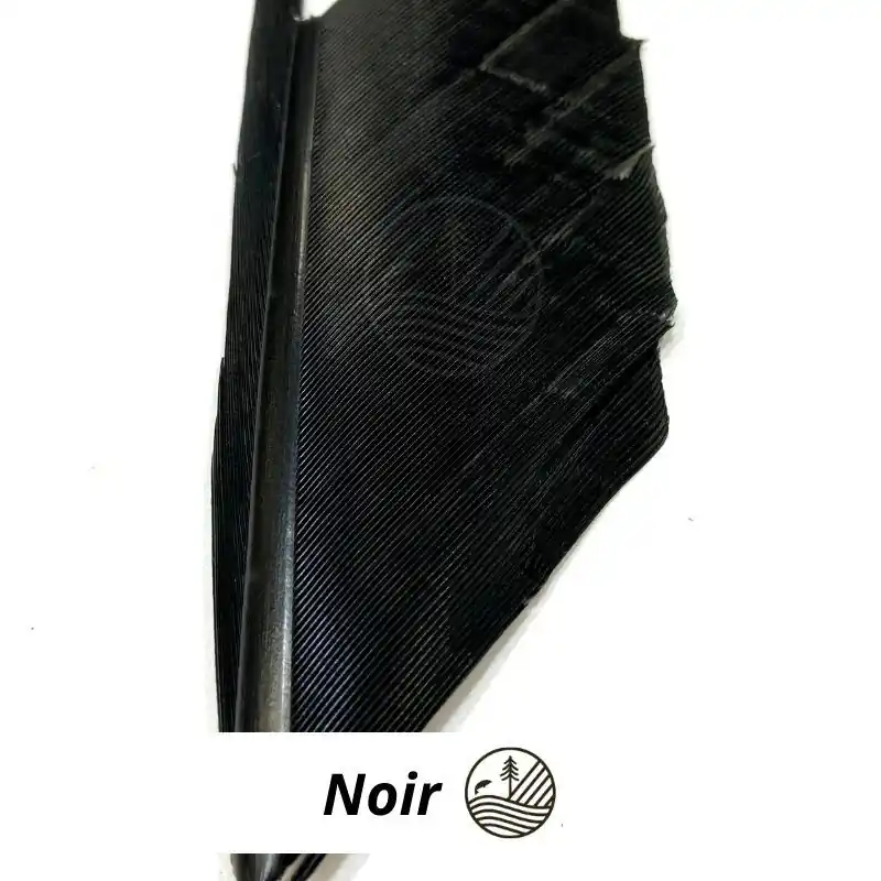 Expédition Rapide Substitut de condor DEVAUX