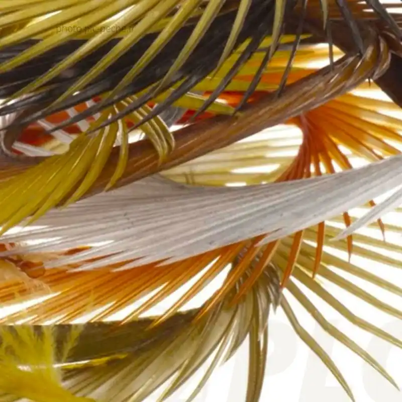 SEMPERFLI Natural Range Goose Biots Mixed Pack Retour Gratuit