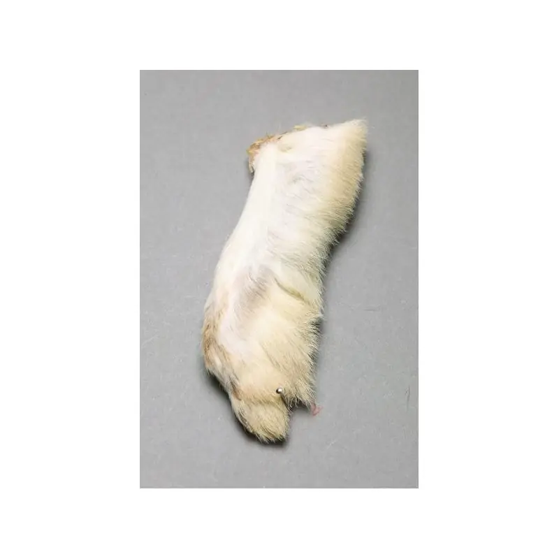 Achat Immédiat Patte de lièvre des neiges Snowshoe Rabbit FLY SCENE