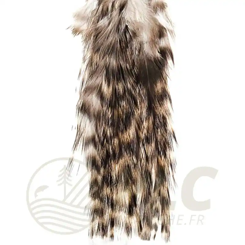 Pelle Pardo Grizzly DEVAUX Commander Vite