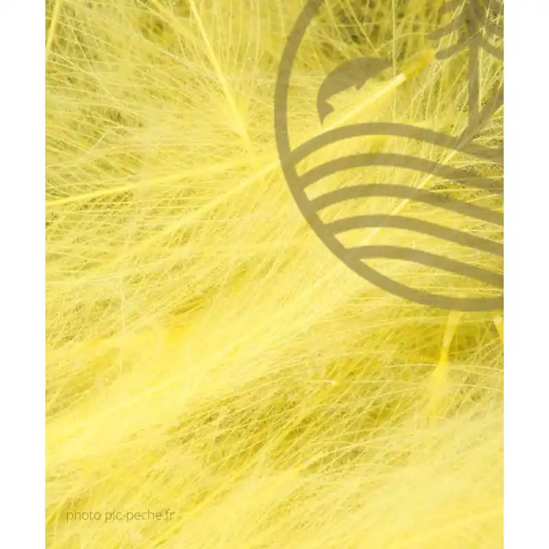 French CDC Jumbo XXL Vente Directe