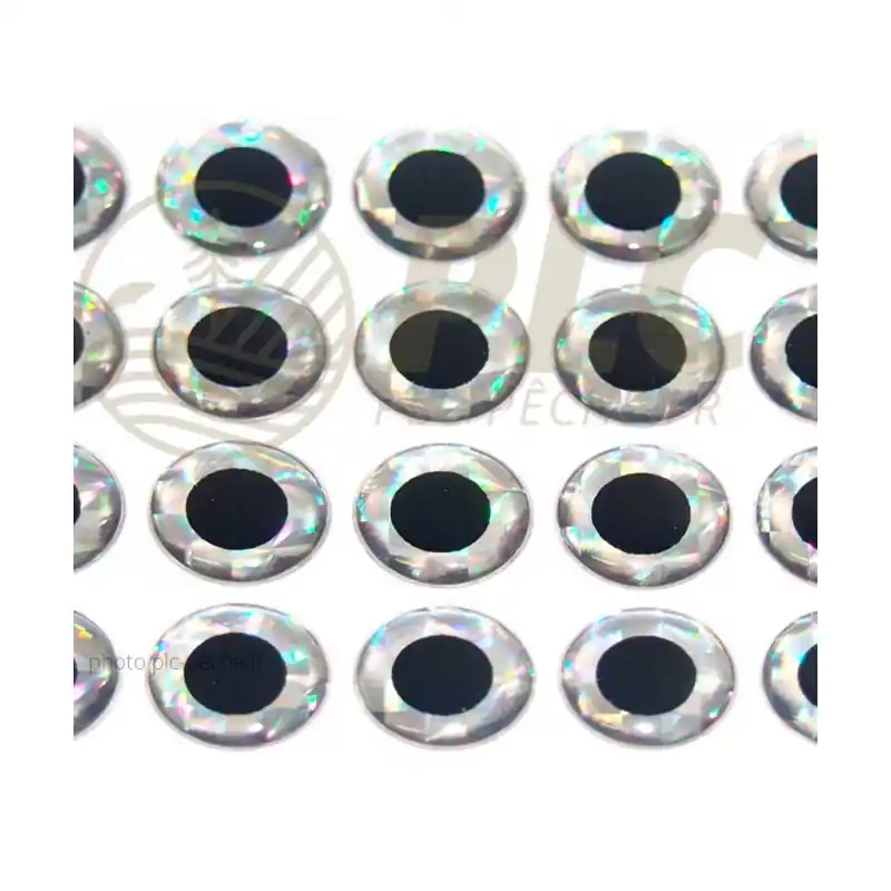 Prix Réduit Yeux 3D Epoxy Holo Silver