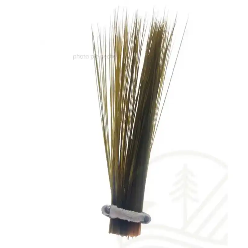 SEMPERFLI Tail Fibre Fibbets Nouveauté