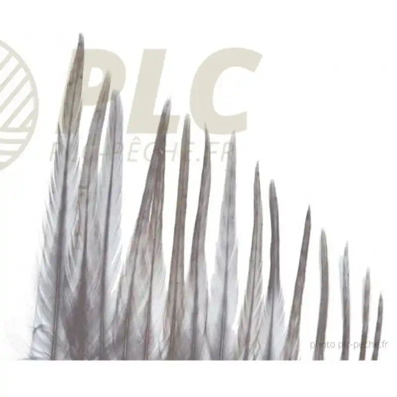 Plumes DEVAUX Hackles Genetic Grizzly Acheter Direct