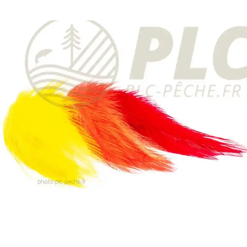 Plumes DEVAUX Streamers Certifié