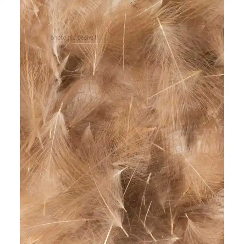 Cul de Canard FLYSCENE Wild Natural Petites Plumes Offre Exclusive