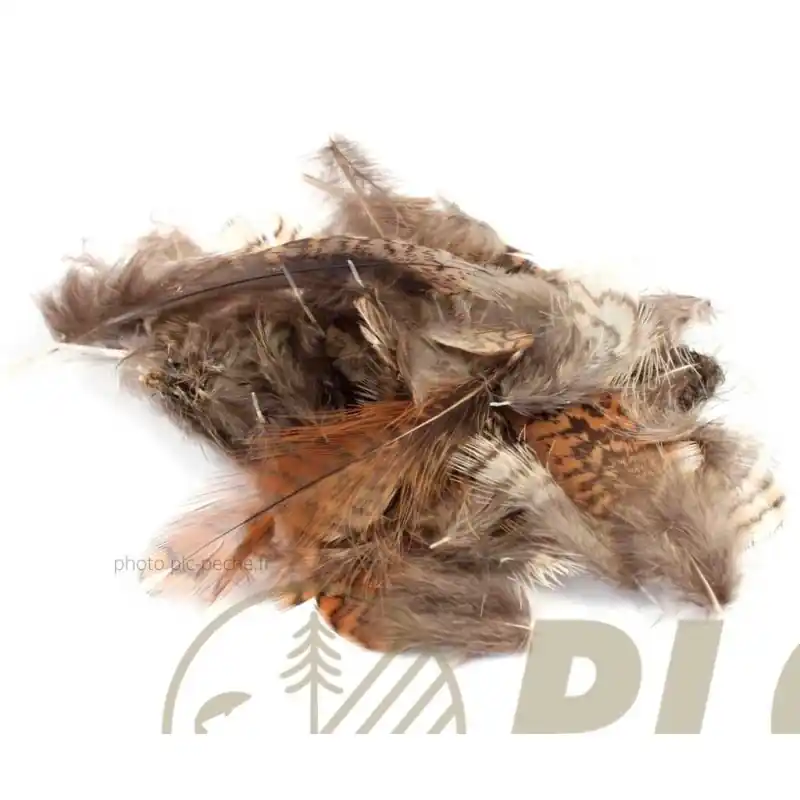 Bon Marché Plumes VENIARD Woodcock Body