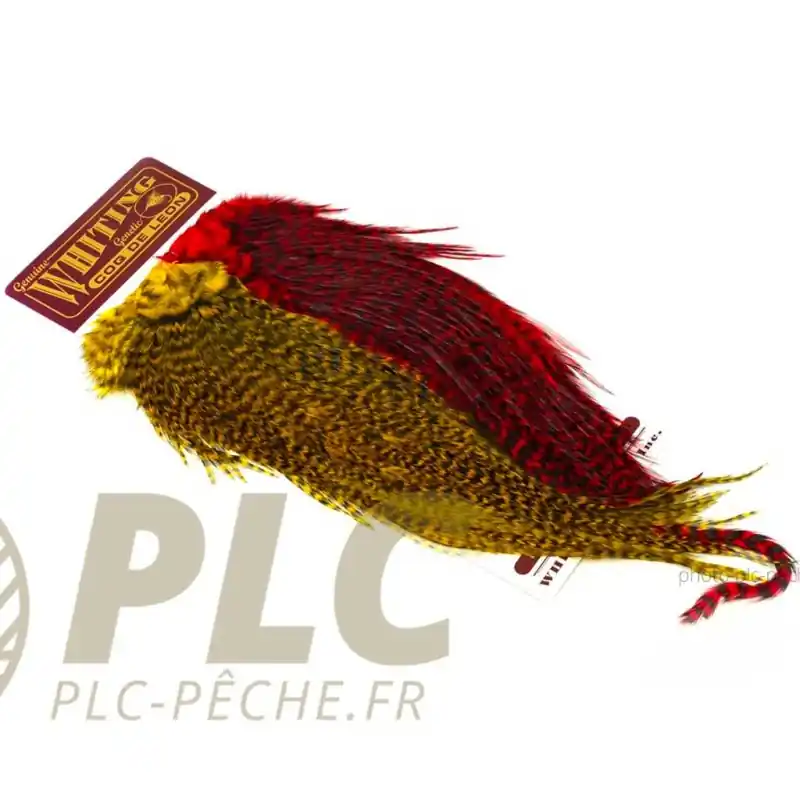 Plumes WHITING FARMS CDL Predator Pack Grizzly Pardo Red & Yellow Affaire À Saisir